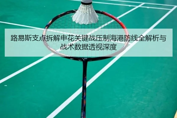 路易斯支点拆解申花关键战压制海港防线全解析与战术数据透视深度
